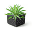 Plant Perfection: Fred’s Milk Crate Planter!