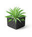 Plant Perfection: Fred’s Milk Crate Planter!