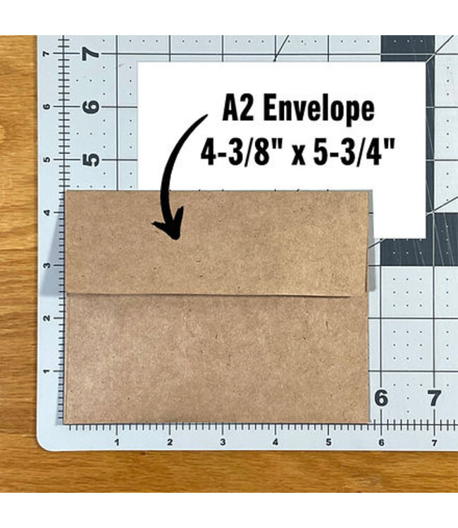 Purr-fectly Punny: Show Me Your Kitties Card!