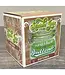 Budtender Large Storage Jar with Gasket Seal Lid