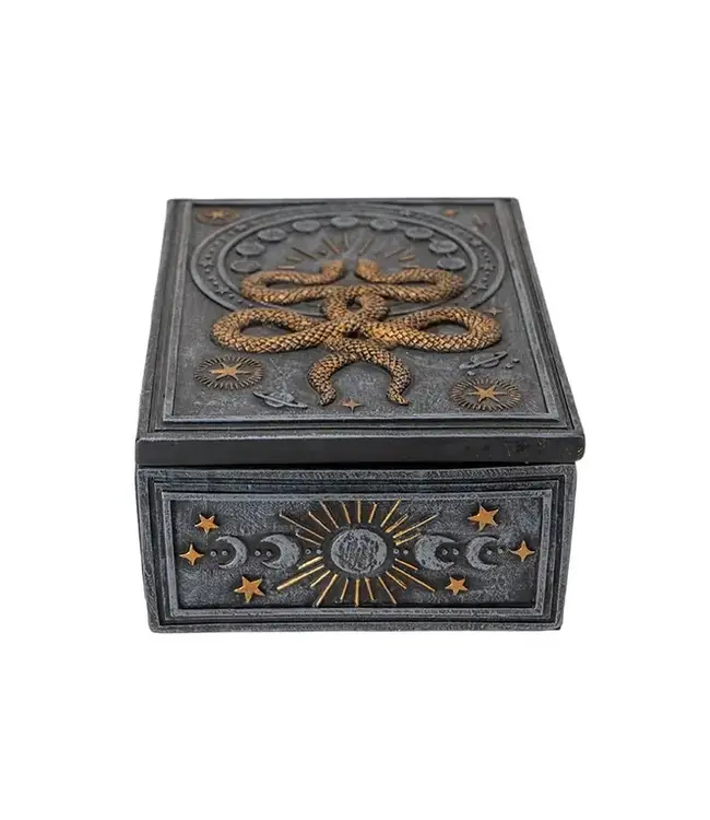 Serpent Secrets: The Enchanting Tarot Box