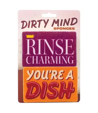 Unemployed Philosophers Guild Rinse Charming/You're A Dish Sponge Set