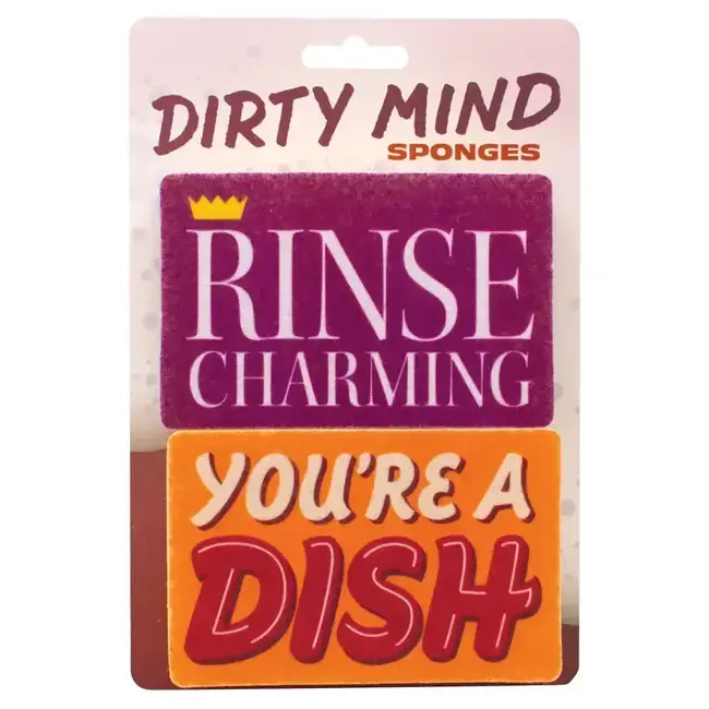 Sponge-tastic Duo: Rinse Charming & You're a Dish!