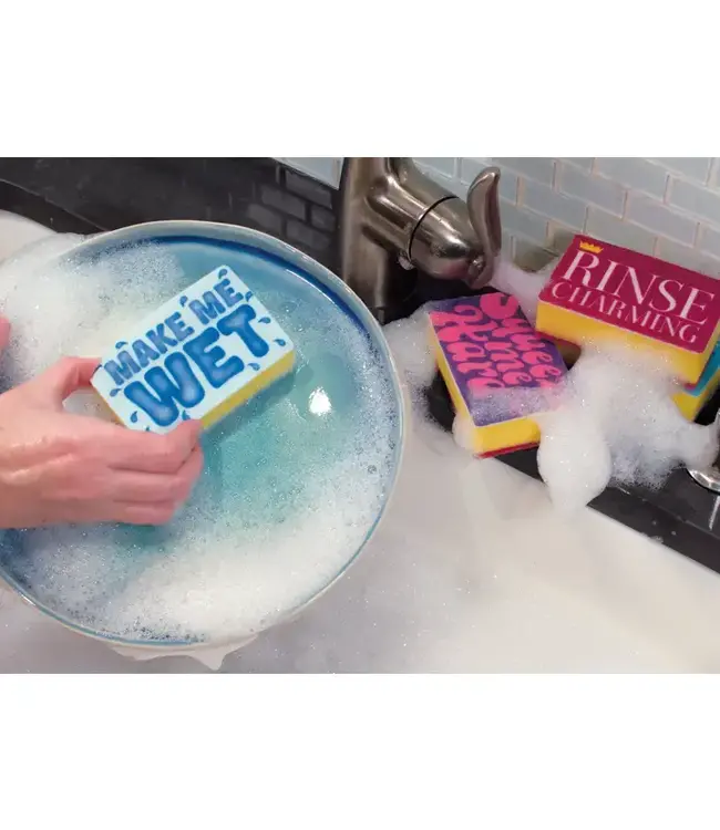 Sponge-tastic Duo: Rinse Charming & You're a Dish!