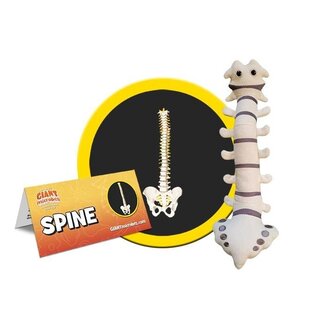 Giant Microbes Plush Spine - Educational Anatomy Toy