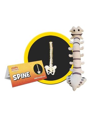 Giant Microbes Plush Spine - Educational Anatomy Toy