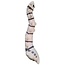 Support Your Knowledge: Meet the Plush Spine!