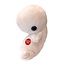From Cell to Cuddle: Meet Our Fetus Plush!