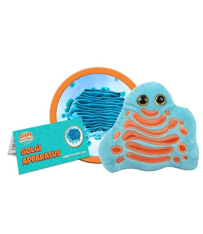 Get Plush with the Golgi: Your New Science Sidekick!