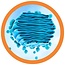 Get Plush with the Golgi: Your New Science Sidekick!