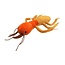 Cuddle Up with the Termite Plush!