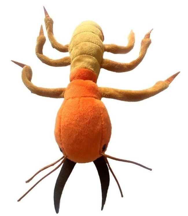 Cuddle Up with the Termite Plush!