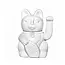 Charm Your Space with the Lucky Cat!