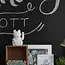 Charm Your Space with the Lucky Cat!