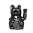 Meet Your New Lucky Charm: The Black Cat!