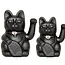 Luck's Best Friend: Meet the Cheerful Black Cat!