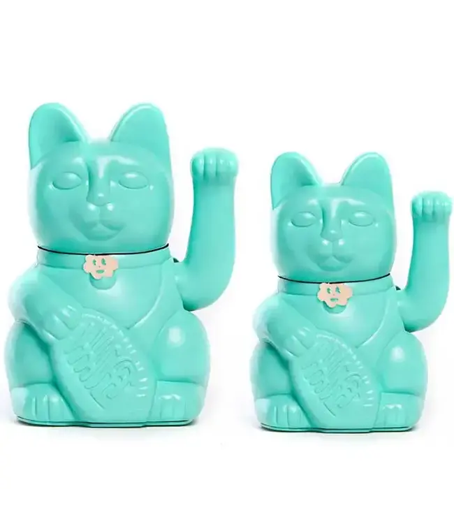 Luck’s New Hue: Meet the Aquamarine Cat!