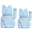 Luck in Blue: Meet Your New Fortune Cat!