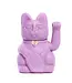 Lucky Charm: Meet the Lavender Cat!