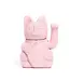 Charming Luck: The Pale Pink Lucky Cat