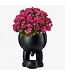 Plant a Smile: The Peeing Planter Pot!