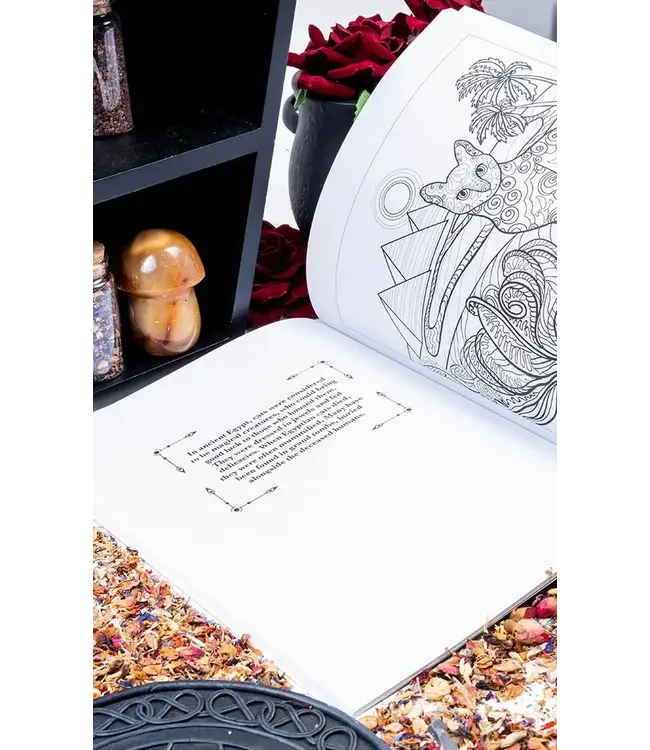 Color Your Magic: Spells & Creativity Unleashed!