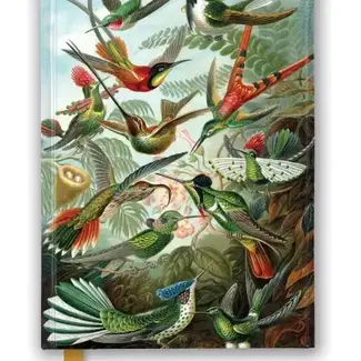 Texas Bookman Ernst Haeckel: Hummingbirds Journal
