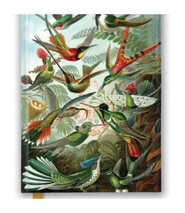 Hummingbird Dreams: Where Art Meets Ink!