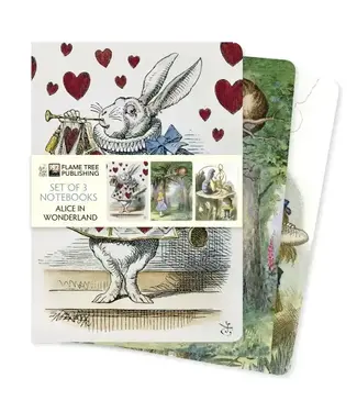 Texas Bookman Alice in Wonderland Set of 3 Standard Notebooks