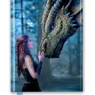 Texas Bookman Anne Stokes: Once Upon A Time Journal