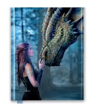 Texas Bookman Anne Stokes: Once Upon A Time Journal