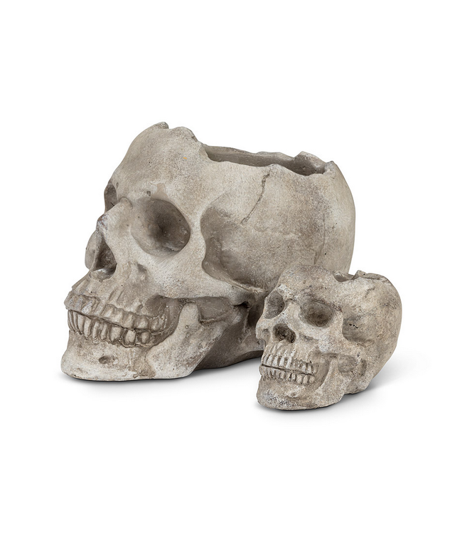 Spook-tacular Skull Planter: Where Eerie Meets Elegance!