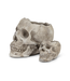 Spook-tacular Skull Planter: Where Eerie Meets Elegance!