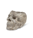 Spook-tacular Skull Planter: Where Eerie Meets Elegance!