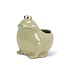 Frog-tastic Planting Fun!