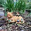 Cody & the Gnomes: Naptime in Fairyland!