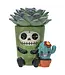 Furrybones Echy: Spooky Succulent Holder