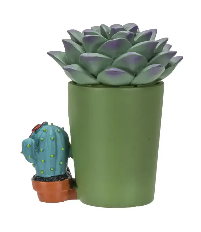 Furrybones Echy: Spooky Succulent Holder