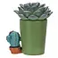 Furrybones Echy: Spooky Succulent Holder