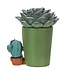 Furrybones Echy: Spooky Succulent Holder