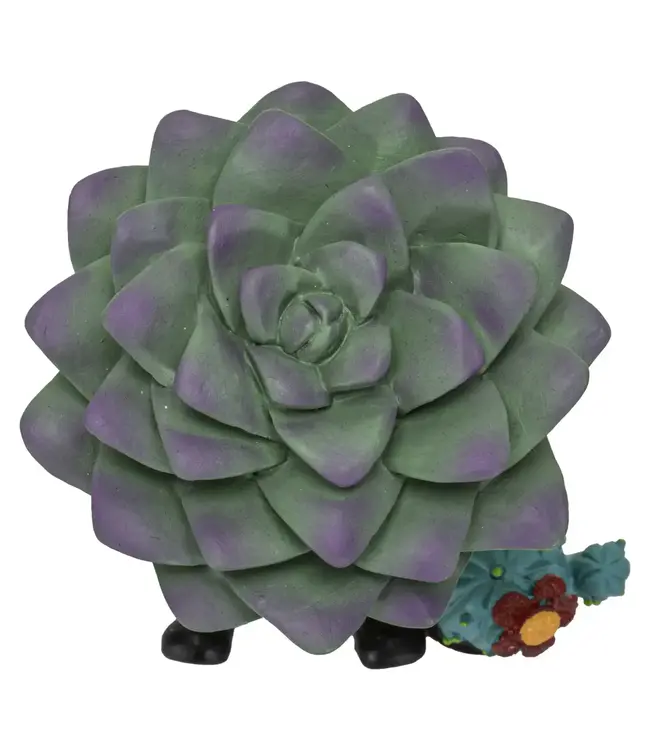 Furrybones Echy: Spooky Succulent Holder