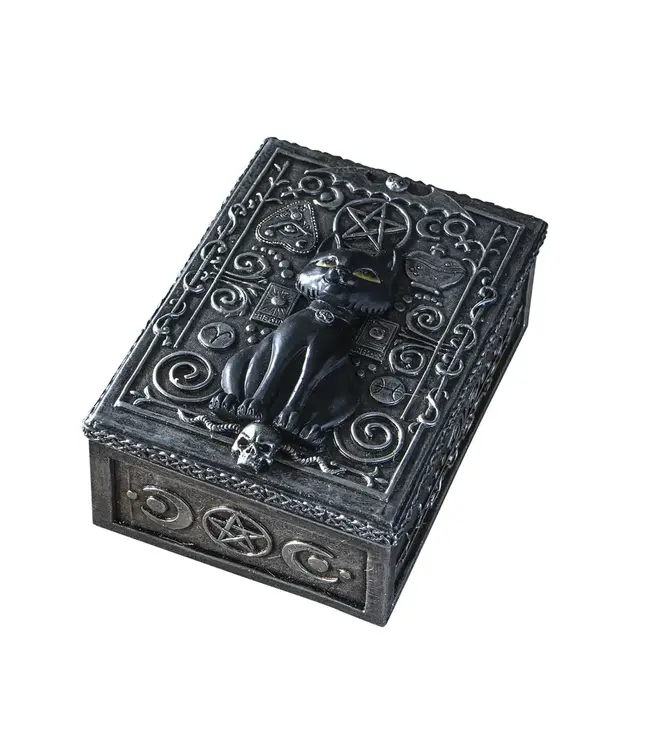Whiskers & Wisdom: Black Cat Tarot Box