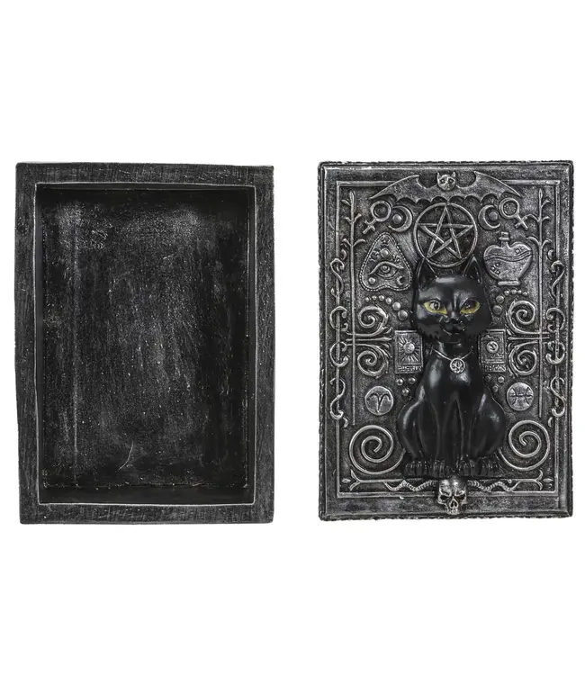 Whiskers & Wisdom: Black Cat Tarot Box