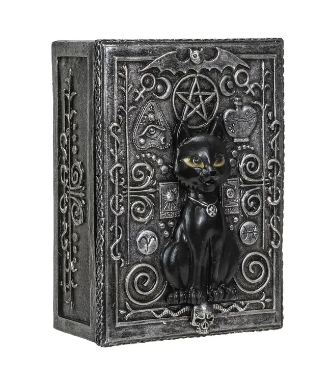 Whiskers & Wisdom: Black Cat Tarot Box