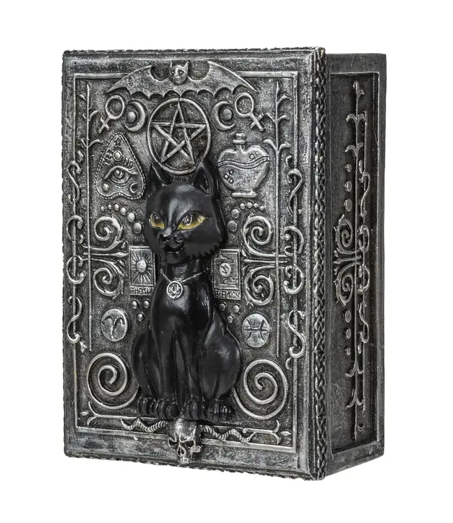 Whiskers & Wisdom: Black Cat Tarot Box