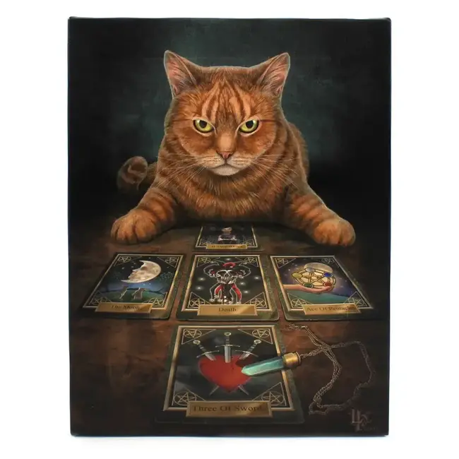 Whiskers & Wonders: The Enchanting Reader