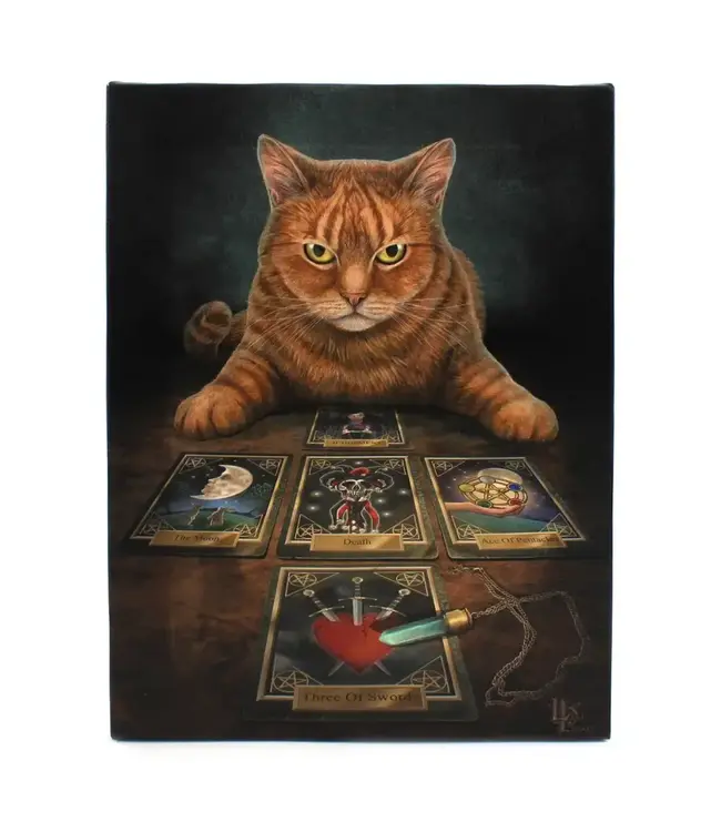 Whiskers & Wonders: The Enchanting Reader