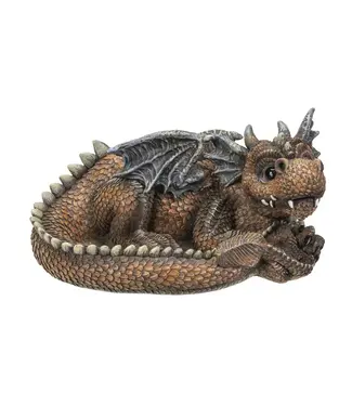 Pacific Giftware Dragon Succulent Planter