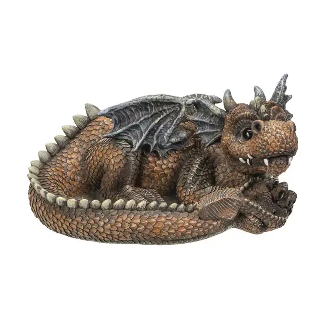 Unleash the Magic: Dragon Succulent Planter