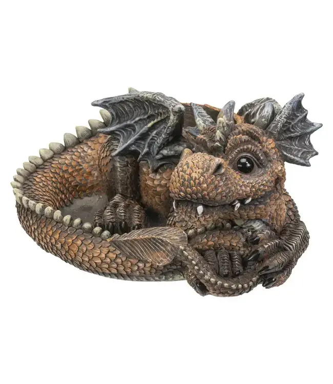 Unleash the Magic: Dragon Succulent Planter